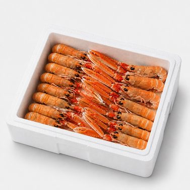 Langoustine in box