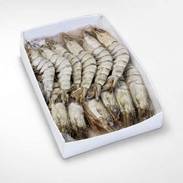 Shrimp in boxes
