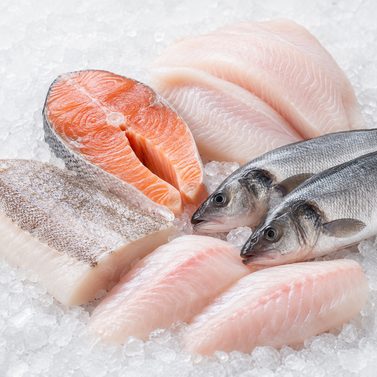 Fish