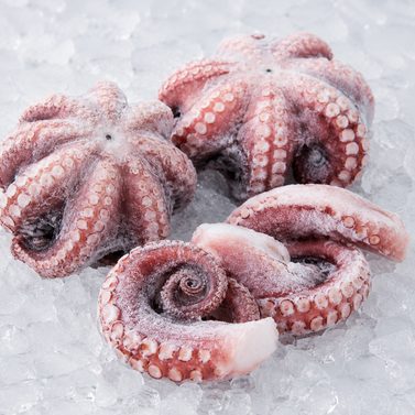 Octopus