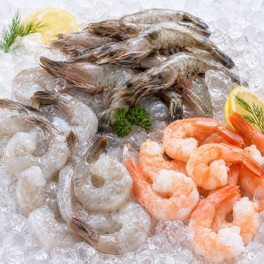 Shrimp