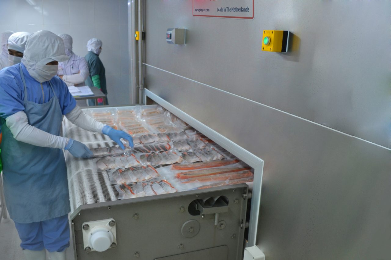 Fresh chicken breast fillets for IQF freezing