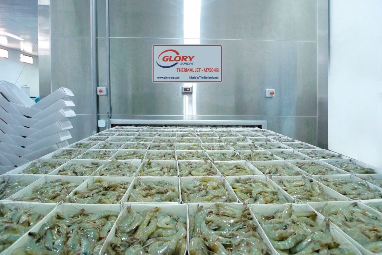 Shrimp in trays freezing in a GLORY Thermal Jet M750HB
