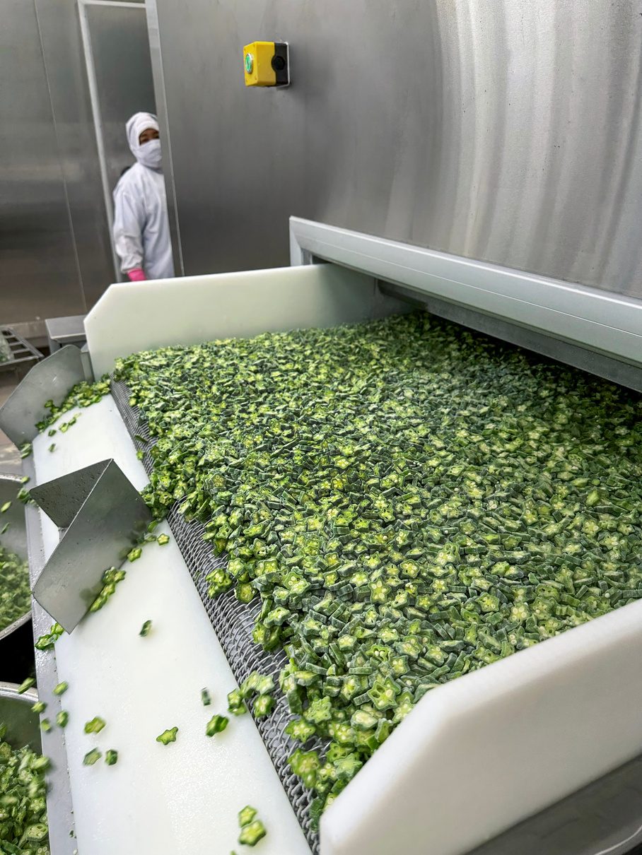 Green peas freezing in a GLORY fluidized bed freezer
