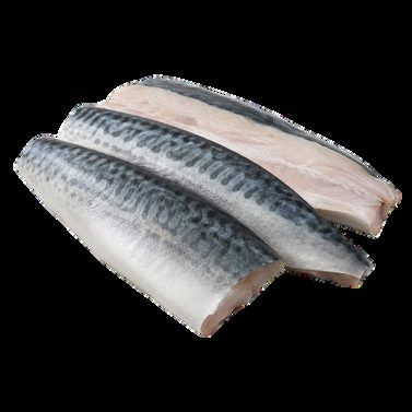Mackerel fillet