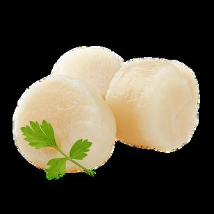 Scallop meat